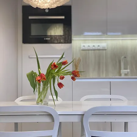 Moderny V Centre Mesta Litra